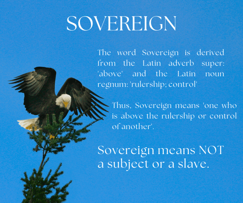 Sovereign image of a bird